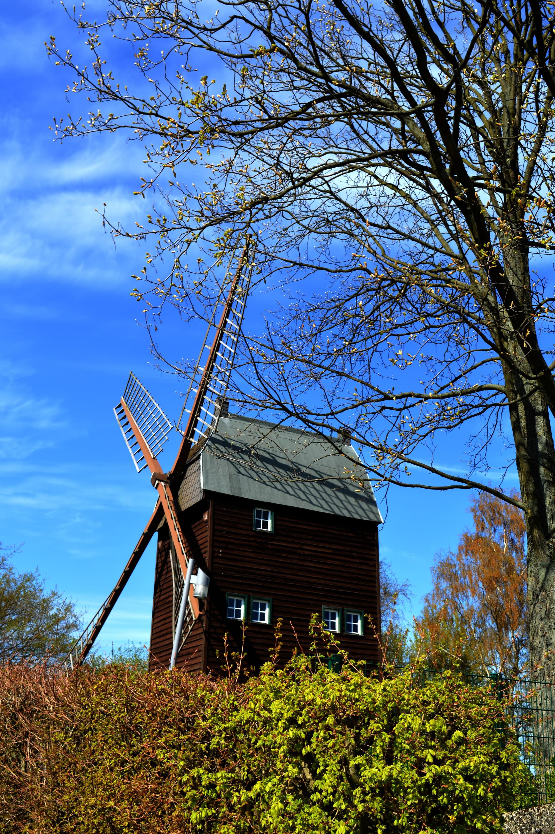 Die Bockwindmühle Marienrode